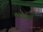 15.01.2011 017.jpg