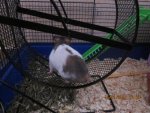 15.01.2011 018.jpg