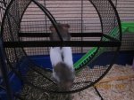 15.01.2011 019.jpg