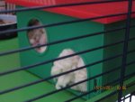 15.01.2011 021.jpg