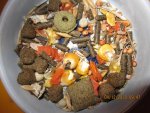 Mein Hamster Franz+ andere Sachen von Mama 019.jpg