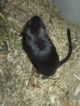 IMG_0394.jpg