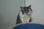 DSC04024.jpg