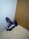 DSC00492.jpg