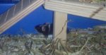 DSC00495.JPG