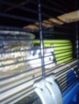 DSC00498.jpg