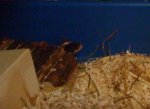 DSC00502.JPG