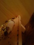 DSC00506.jpg