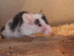 DSCF1147.jpg