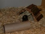 Mia-Maus.jpg