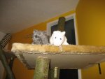 IMG_0192.jpg