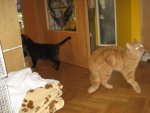 IMG_0196.jpg