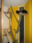 IMG_0207.jpg