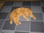 IMG_0214.jpg