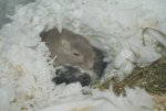 DSC04150.jpg