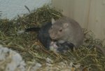 DSC04193.jpg