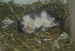 DSC04207.jpg