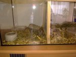 27022011161.jpg