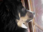 P1010522-klein.jpg