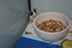 mr.maus5.jpg
