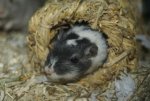 DSC04244.jpg