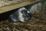 DSC04272.jpg