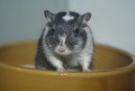 DSC04291.jpg