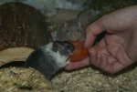 DSC04318.jpg
