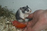 DSC04344.jpg