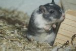 DSC04359.jpg