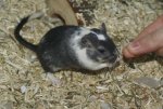 DSC04369.jpg