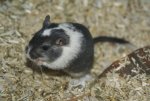 DSC04374.jpg