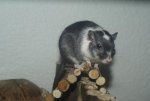 DSC04406.jpg