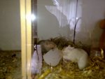 14032011183.jpg