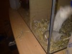 14032011185.jpg