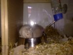 17032011192.jpg