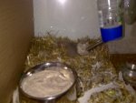 17032011208.jpg