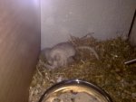 17032011211.jpg
