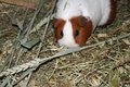 IMG_6568.JPG