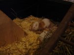 DSC05576.jpg