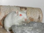 SAM_0137.jpg