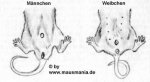 geschlechterbild_370_201.jpg