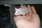 IMG_9479.JPG