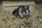 DSC04481.jpg