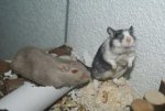 DSC04501.jpg
