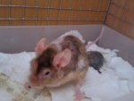 Foto0733.jpg