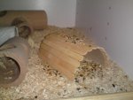 DSC05993.jpg