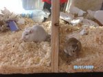 xphoto-67826-697144c9_jpg_pagespeed_ic_3jQa4fDgOd.jpg