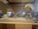 13042011324.jpg