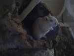 13042011341.jpg